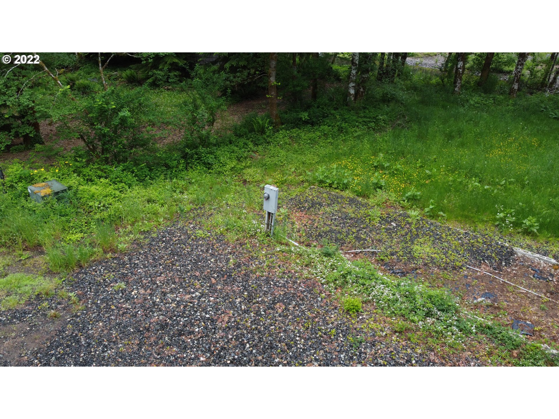442 Cannavinna Road Carson, WA 98610 - Photo 17 of 22 Gallery Image 17