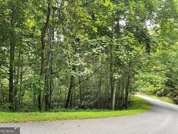 $37,900 | Lot 32 Mountain Harbour Hayesville Nc 28904, Hayesville, NC 28904