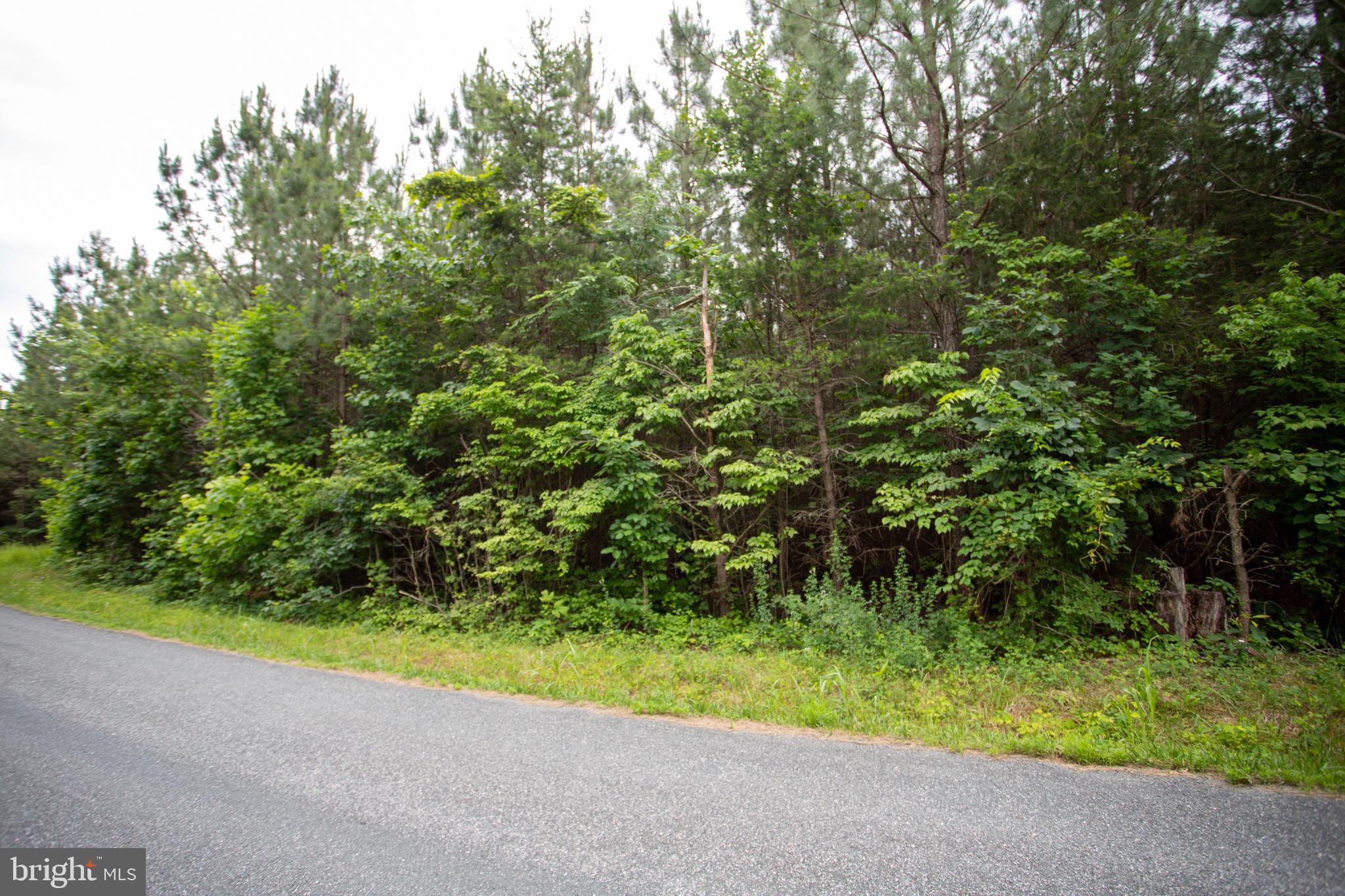 Tbd Trents Cemetery Road, Unit LOT 6 Phenix, VA 23959 - Photo 5 of 19