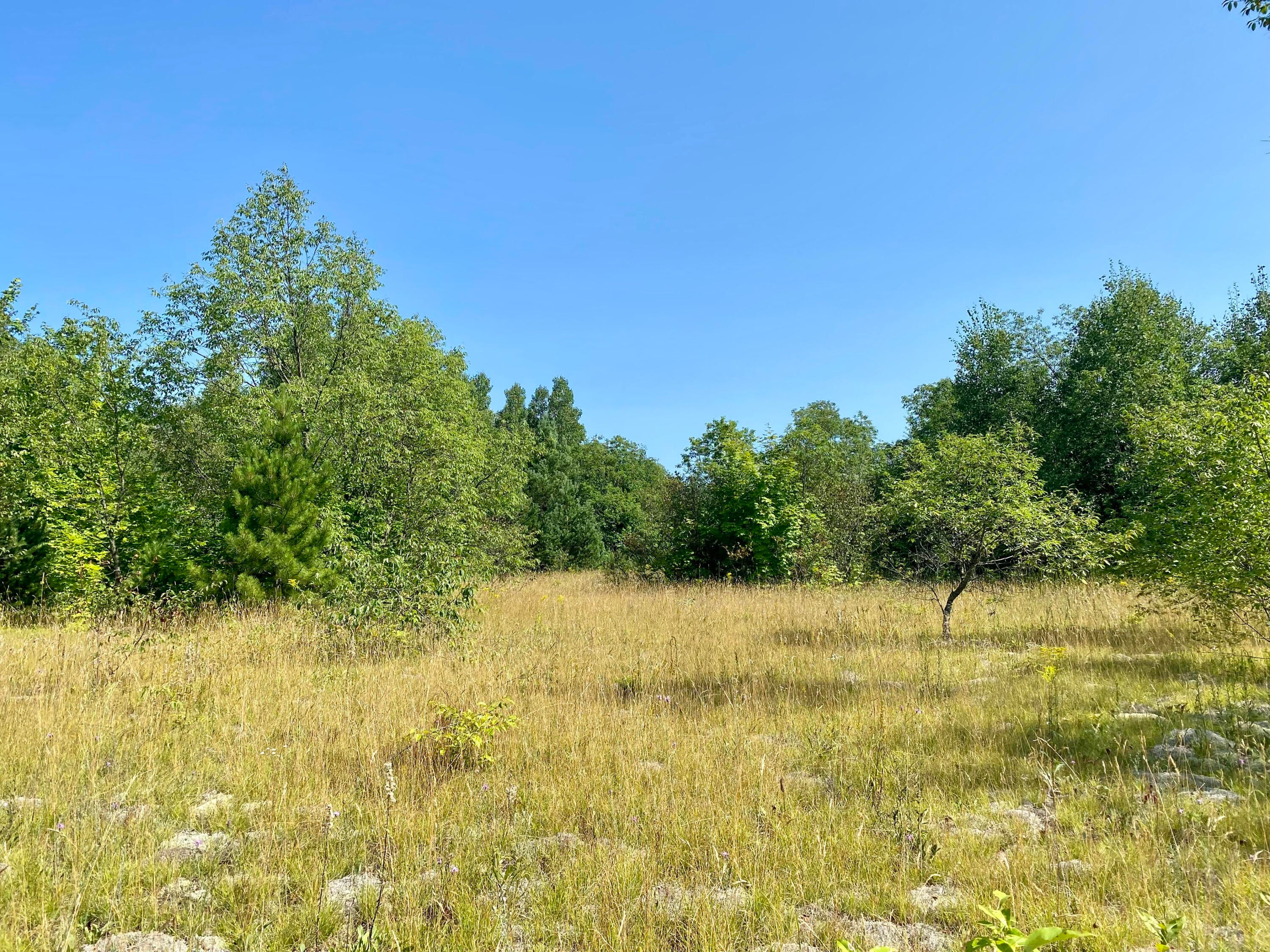 Van Tyle Road Gaylord, MI 49735 - Photo 6 of 11 Gallery Image 6