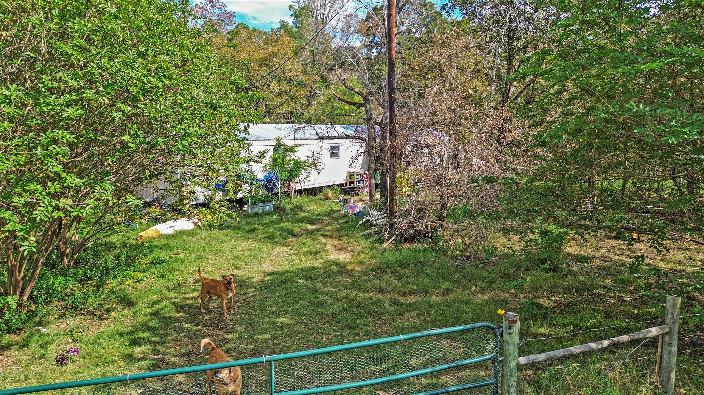 46 Utley Road Huntsville, TX 77320 - Photo 2 of 10 a view of a yard