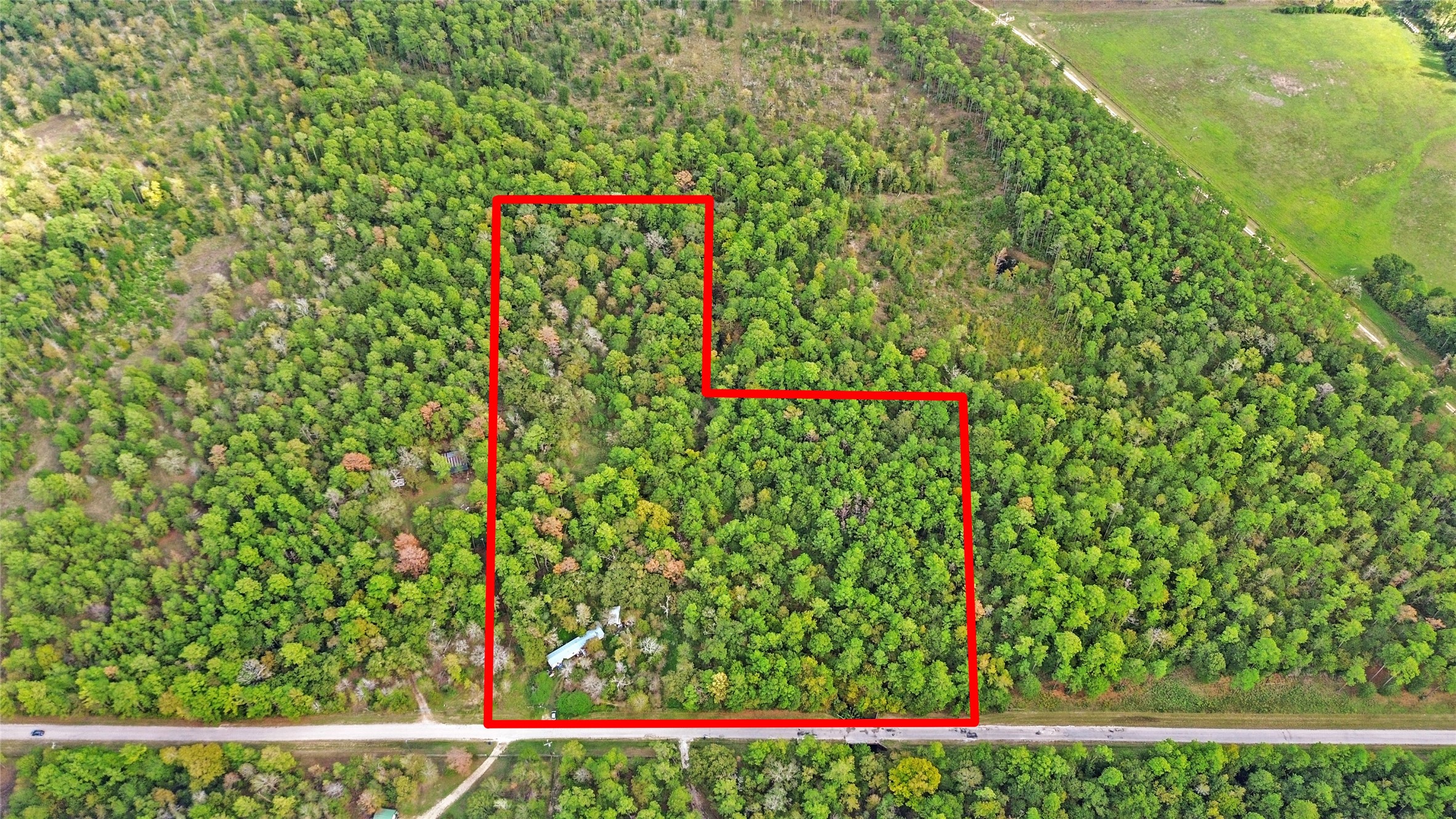 46 Utley Road Huntsville, TX 77320 - Photo 4 of 10 a close up of a plant