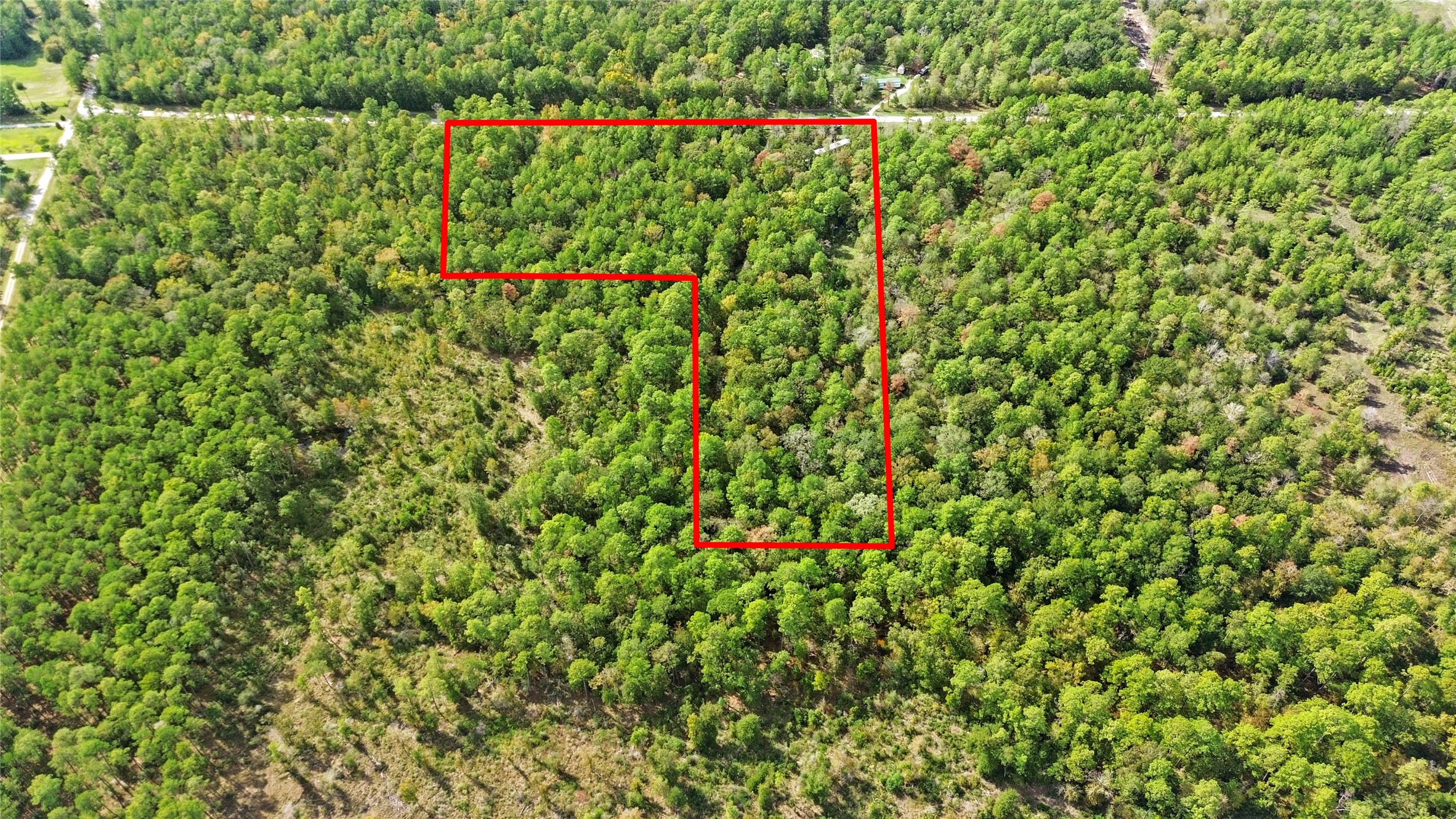 46 Utley Road Huntsville, TX 77320 - Photo 6 of 10 a close up of a plant in a garden