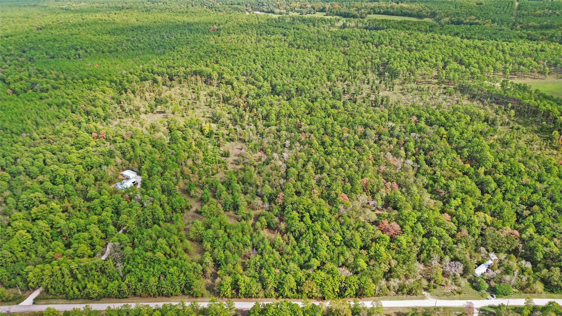 46 Utley Road Huntsville, TX 77320 - Photo 7 of 10 a view of a yard with a tree
