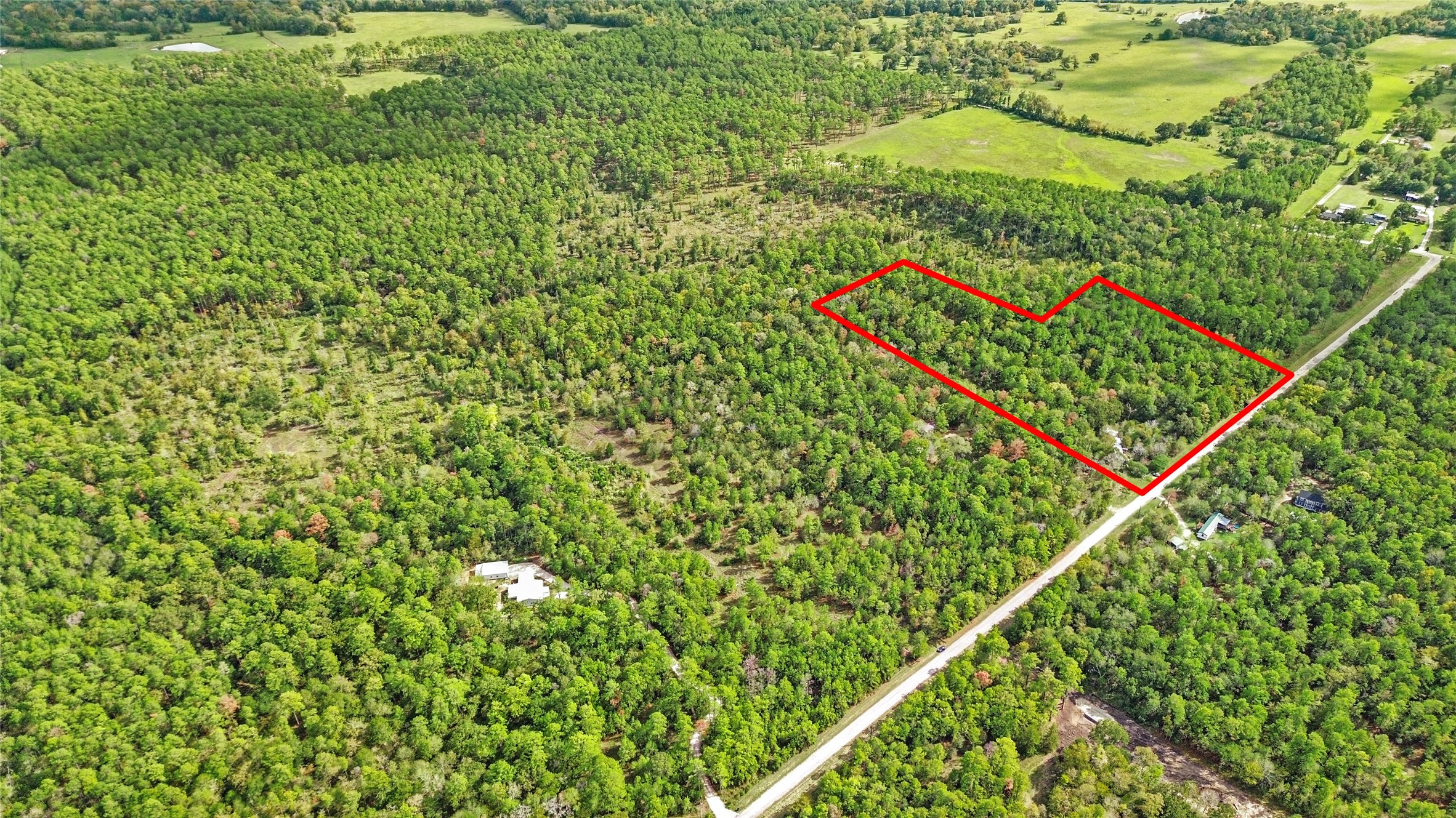 46 Utley Road Huntsville, TX 77320 - Photo 8 of 10 a close up of a plant in a garden