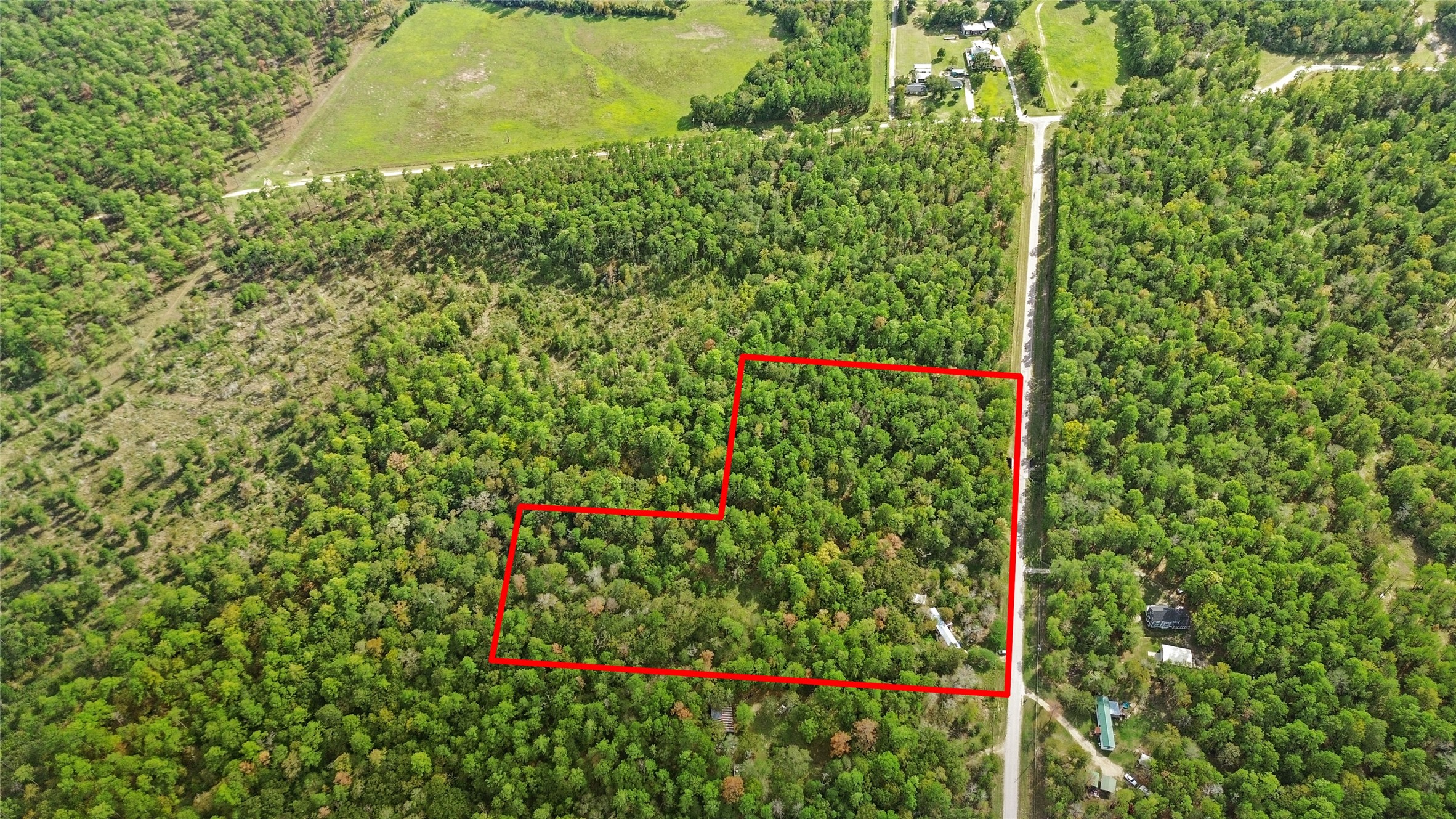 46 Utley Road Huntsville, TX 77320 - Photo 9 of 10 a view of a yard with plants