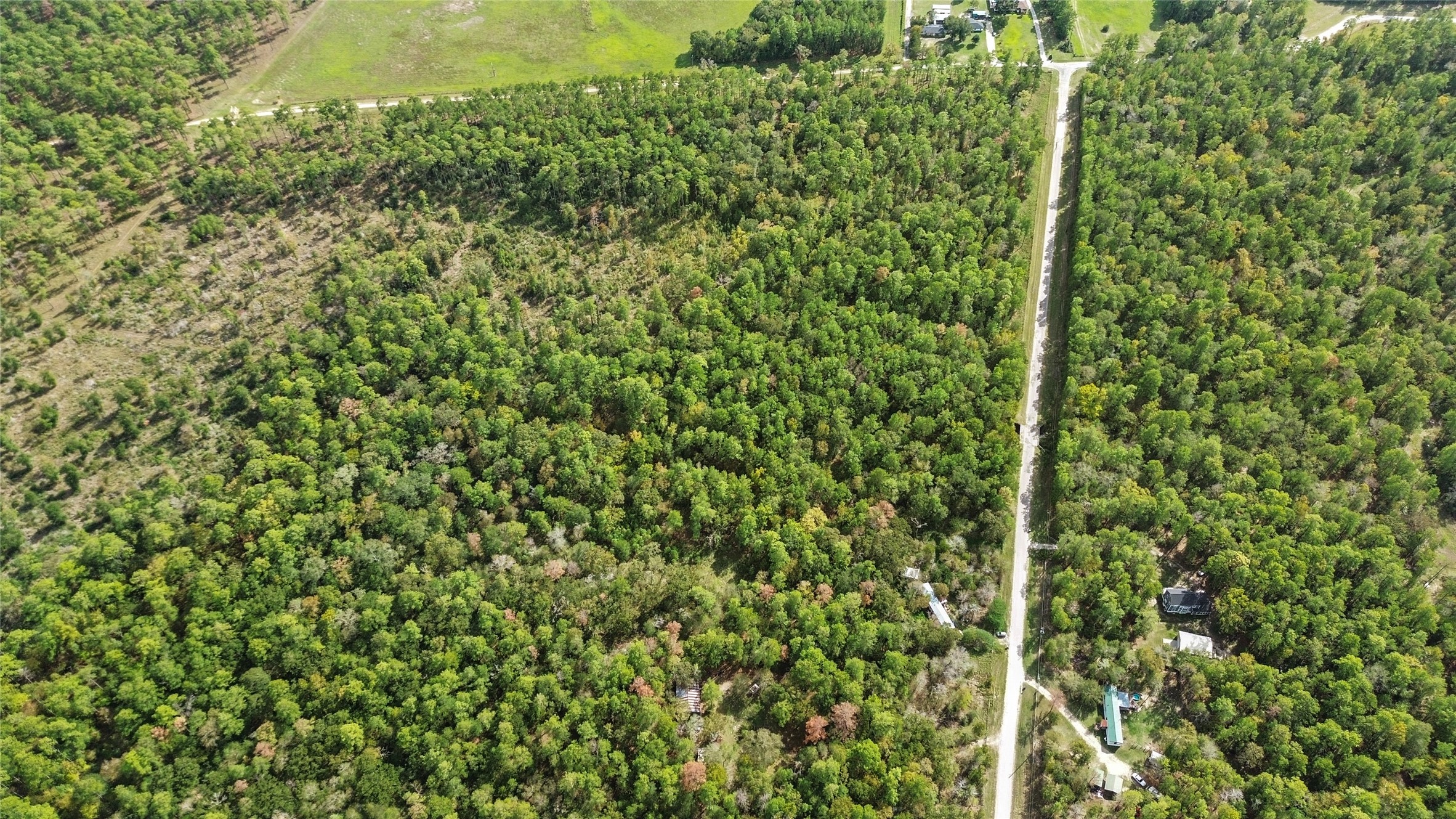 46 Utley Road Huntsville, TX 77320 - Photo 10 of 10 a view of a lush green forest