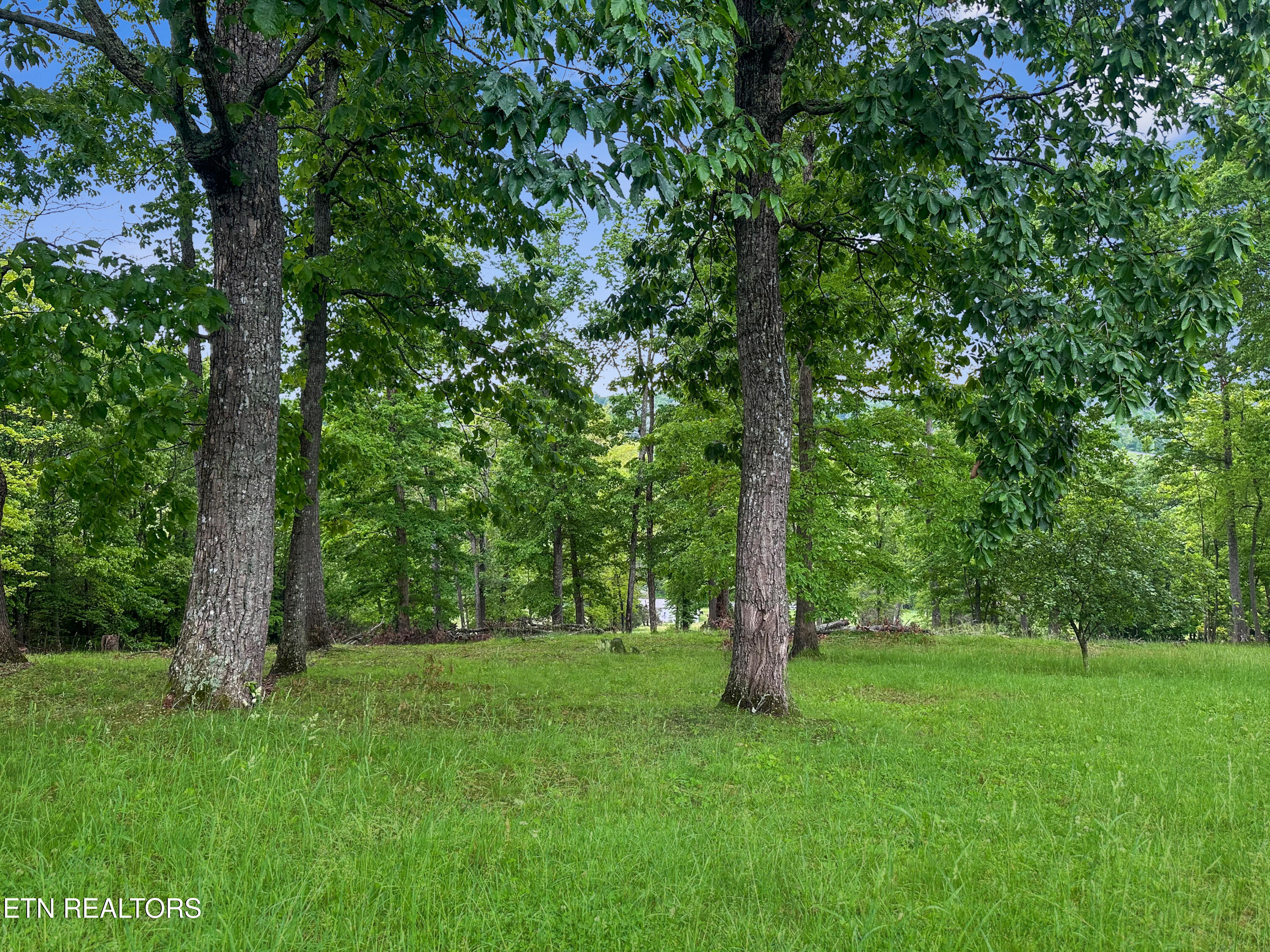 450 Buffalo Lane Tazewell, TN 37879 - Photo 26 of 47 IMG_4914