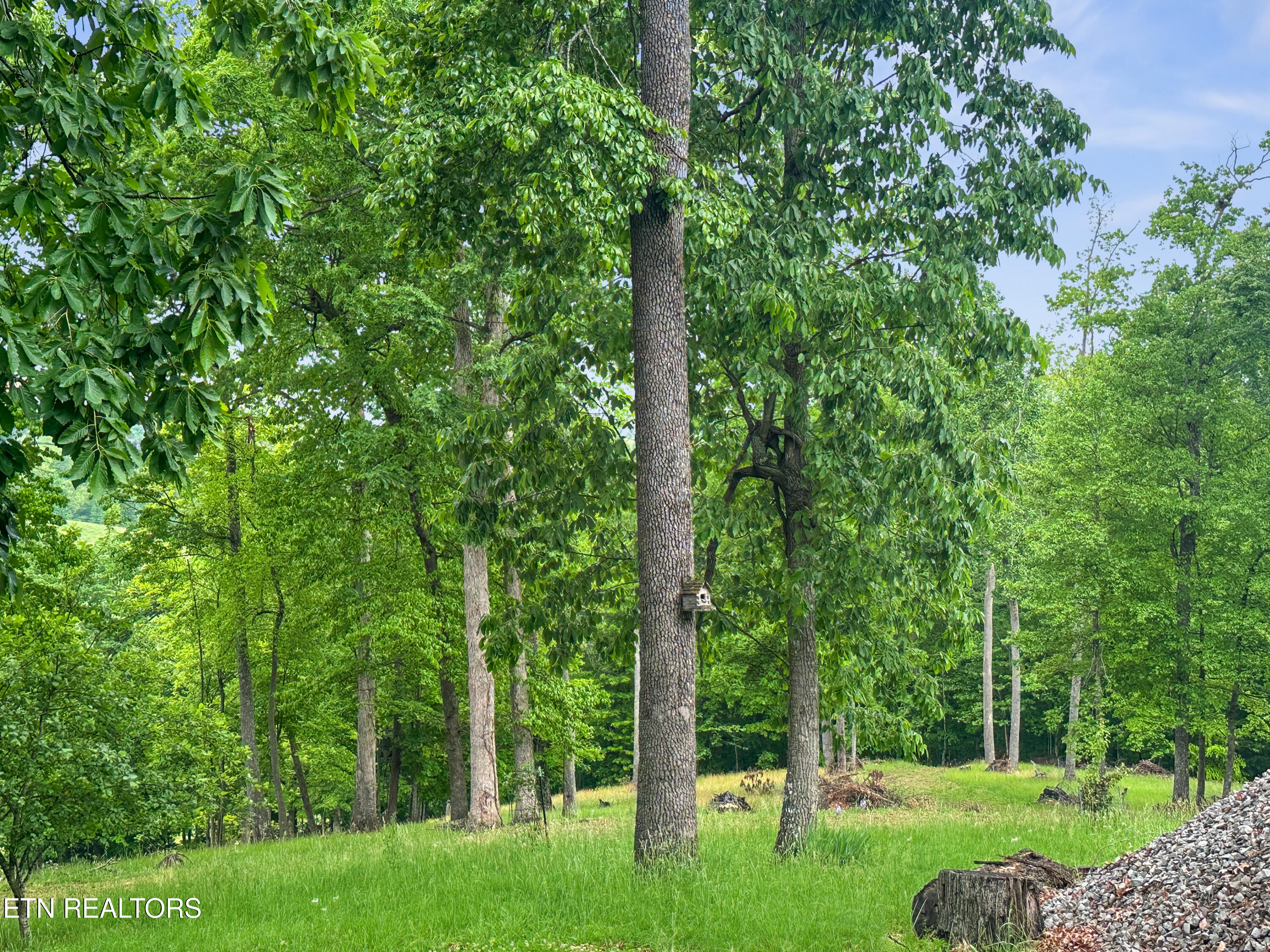 450 Buffalo Lane Tazewell, TN 37879 - Photo 27 of 47 IMG_4915