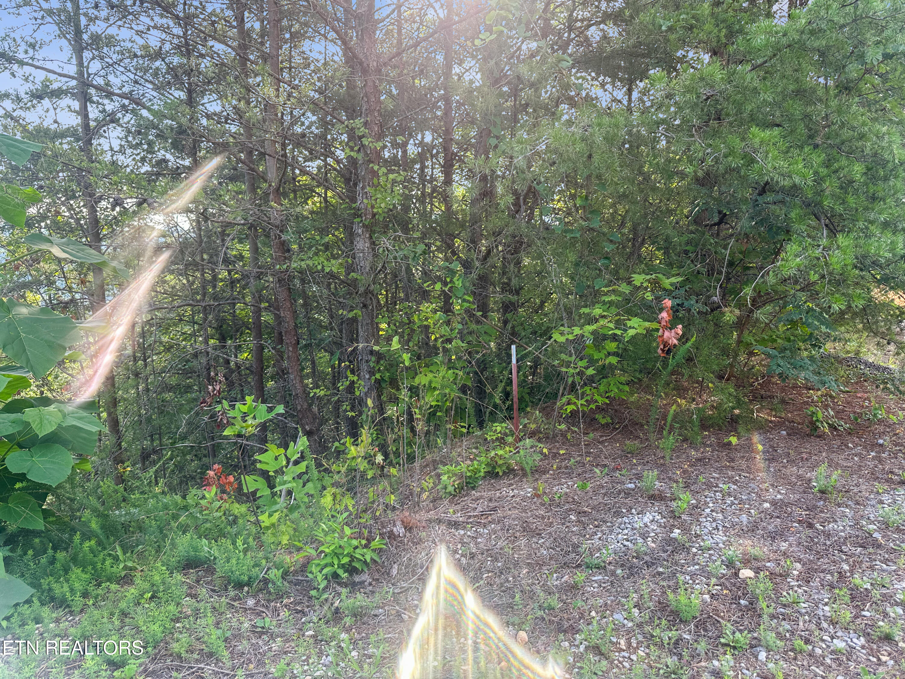 450 Buffalo Lane Tazewell, TN 37879 - Photo 28 of 47 IMG_5866