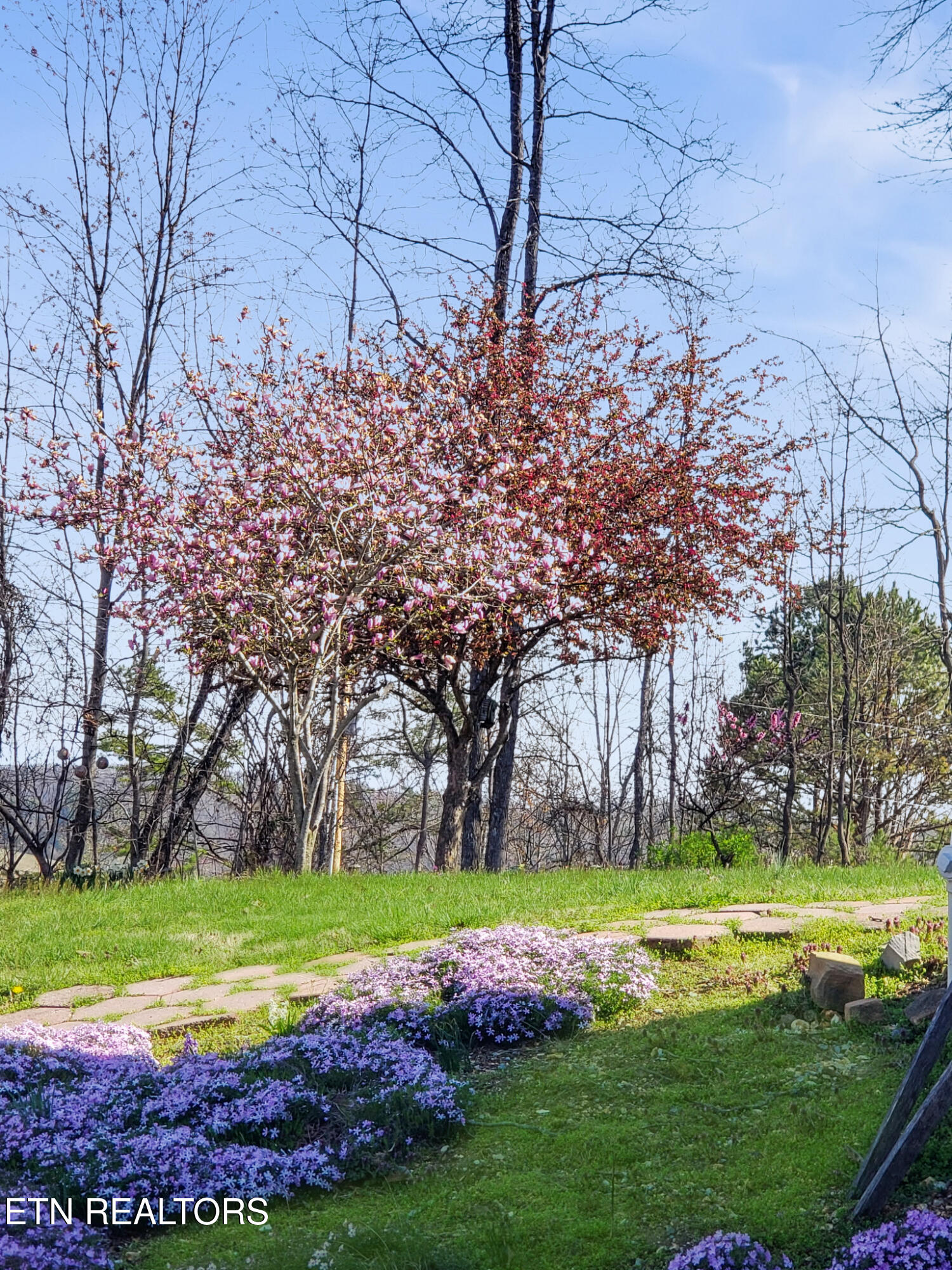 450 Buffalo Lane Tazewell, TN 37879 - Photo 33 of 47 8242322721159964611