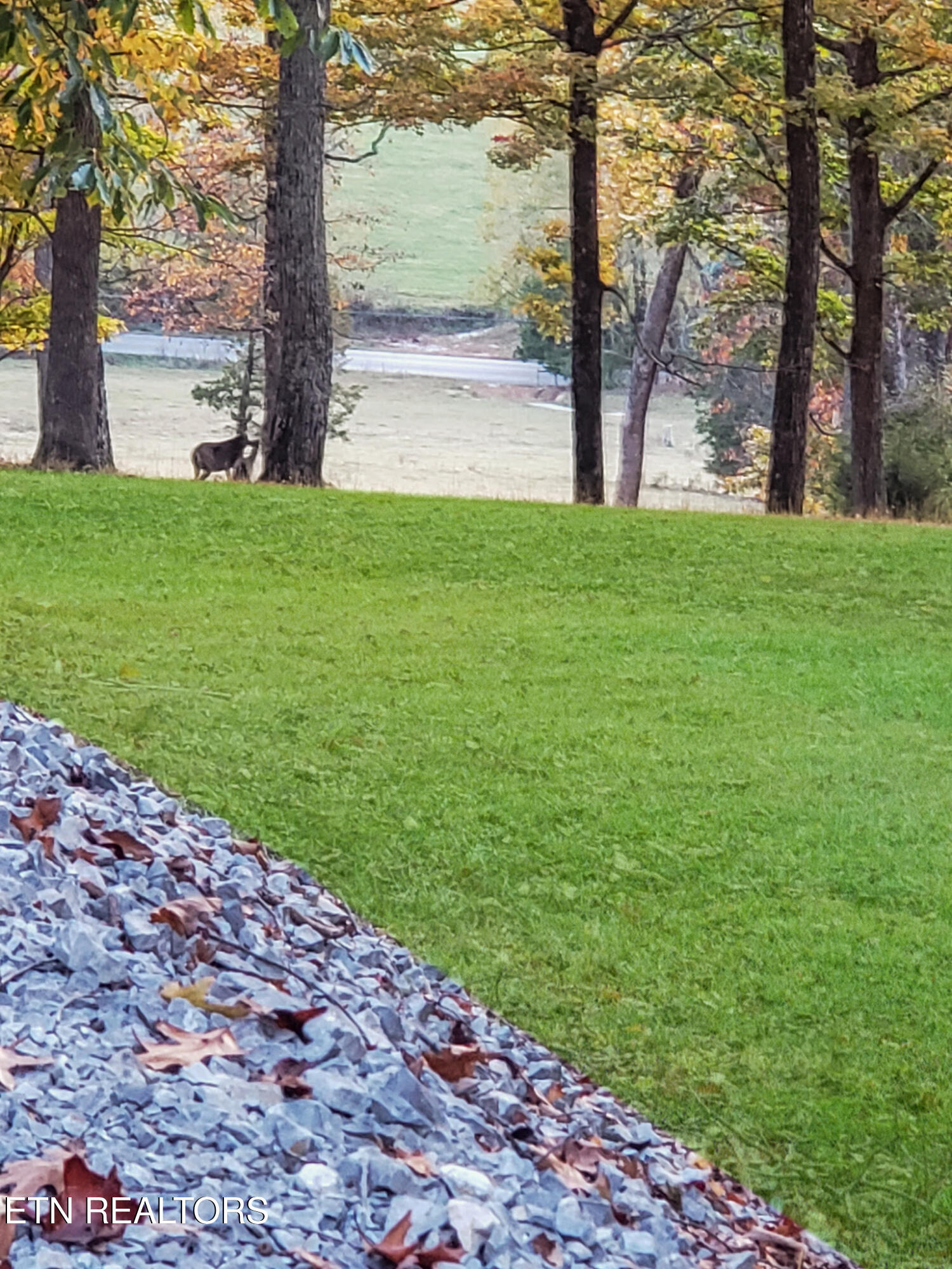 450 Buffalo Lane Tazewell, TN 37879 - Photo 36 of 47 455706001261948177