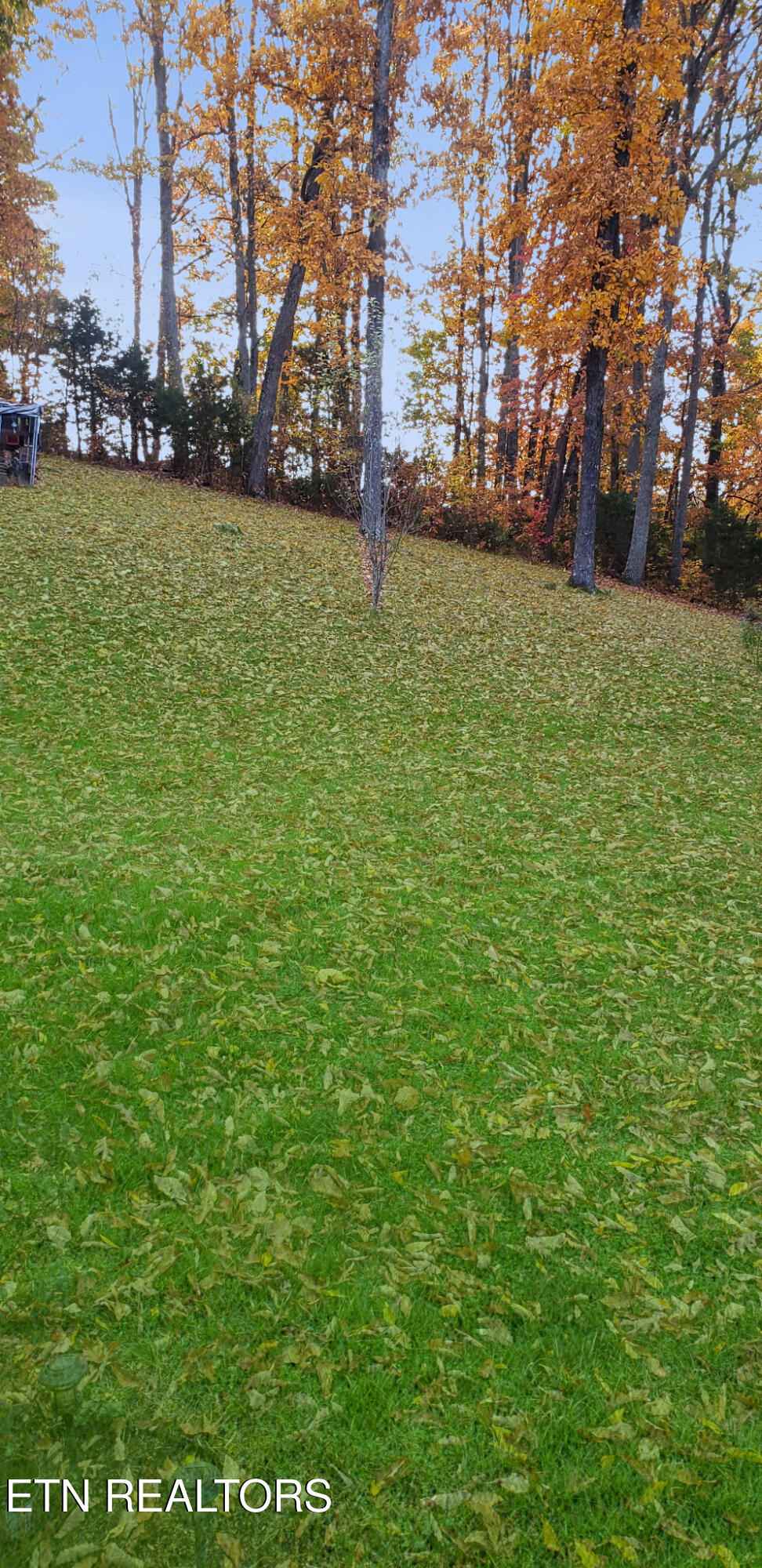 450 Buffalo Lane Tazewell, TN 37879 - Photo 42 of 47 7523970674399899752