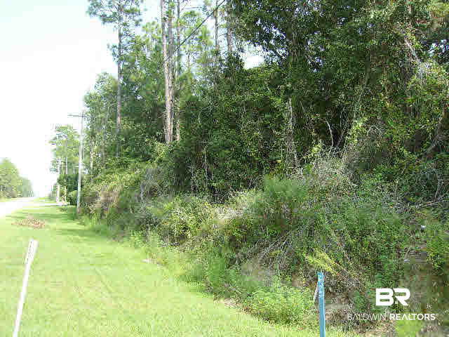 1 County Road 20 Elberta, AL 36530 - Photo 1 of 1