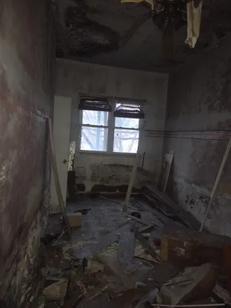 a living room with furniture and a toilet