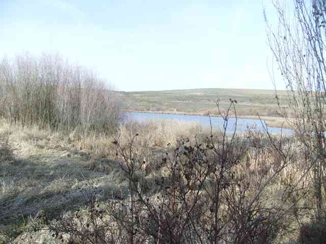 0 Sprague Lake Resort Road Sprague, WA 99032 - Photo 3 of 5