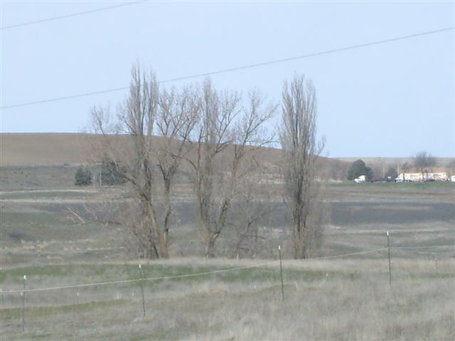 0 Sprague Lake Resort Road Sprague, WA 99032 - Photo 5 of 5