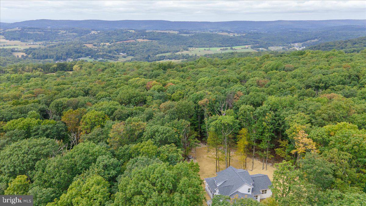 11309 Rum Springs Road Frederick, MD 21702 - Photo 2 of 76