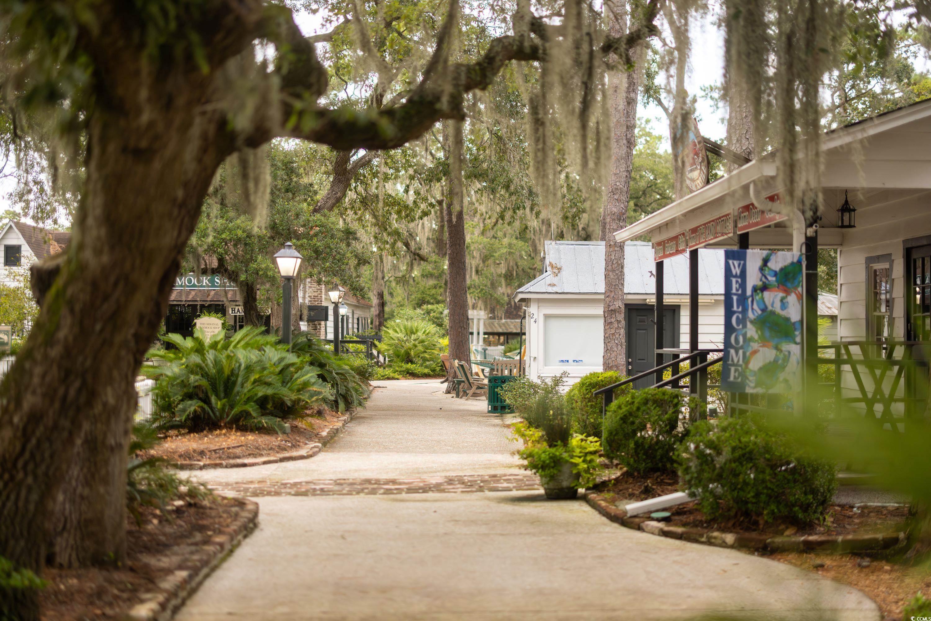 64 Condor Court Pawleys Island, SC 29585 - Photo 14 of 15 Dock with a residential view, view of water and beach, and a pier