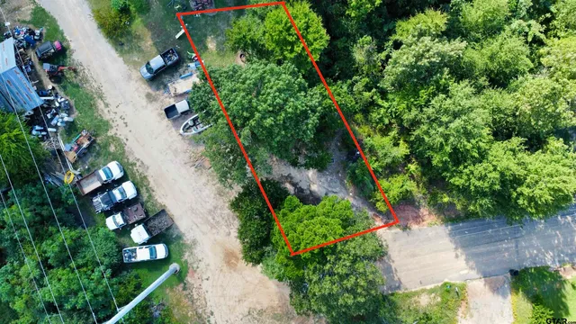 an aerial view of green landscape with trees