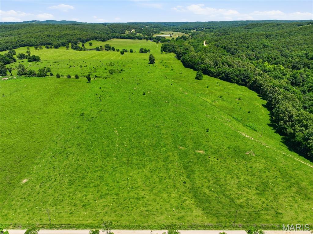 0 Pleasant Hill Road Mountain Grove, MO 65711 - Photo 4 of 51