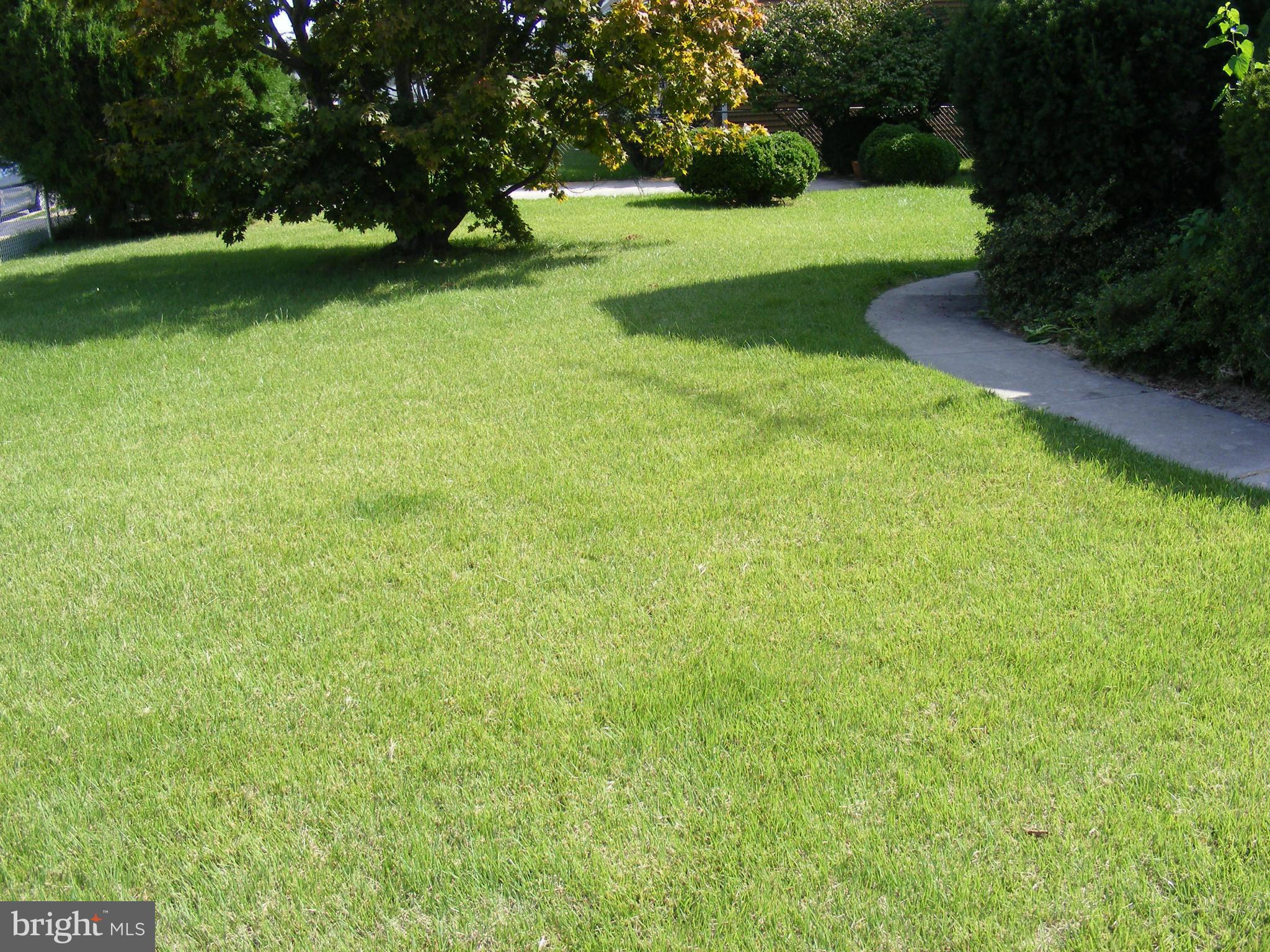 20 Avenal Road Baltimore, MD 21221 - Photo 13 of 14 Side Yard