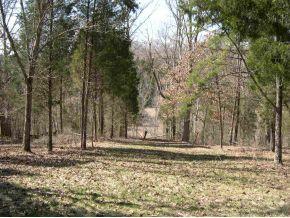 9767 Stoops Road Dillsboro, IN 47018 - Photo 3 of 12 Gallery Image 3
