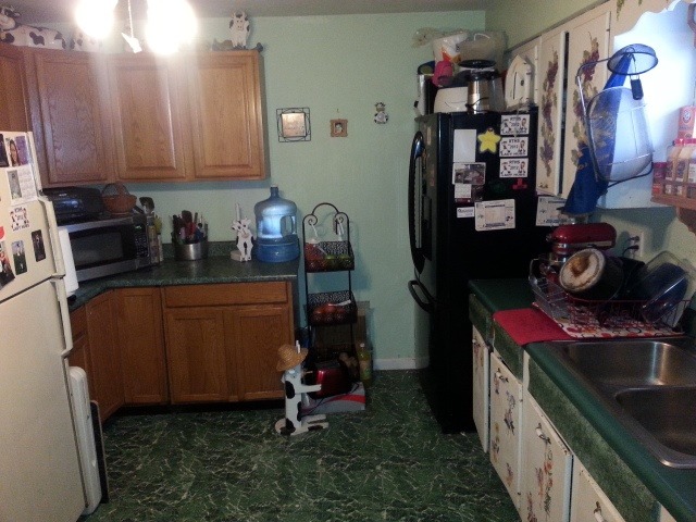 117 8th Street Rochelle, IL 61068 - Photo 5 of 7 a kitchen with refrigerator and washer