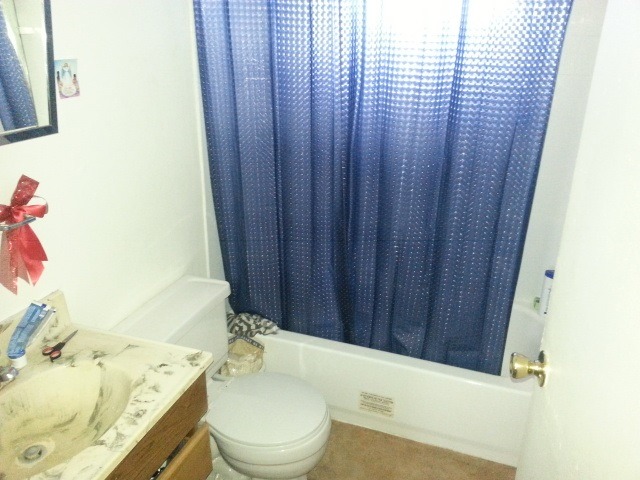 117 8th Street Rochelle, IL 61068 - Photo 7 of 7 a bathroom with a sink a toilet and shower curtain