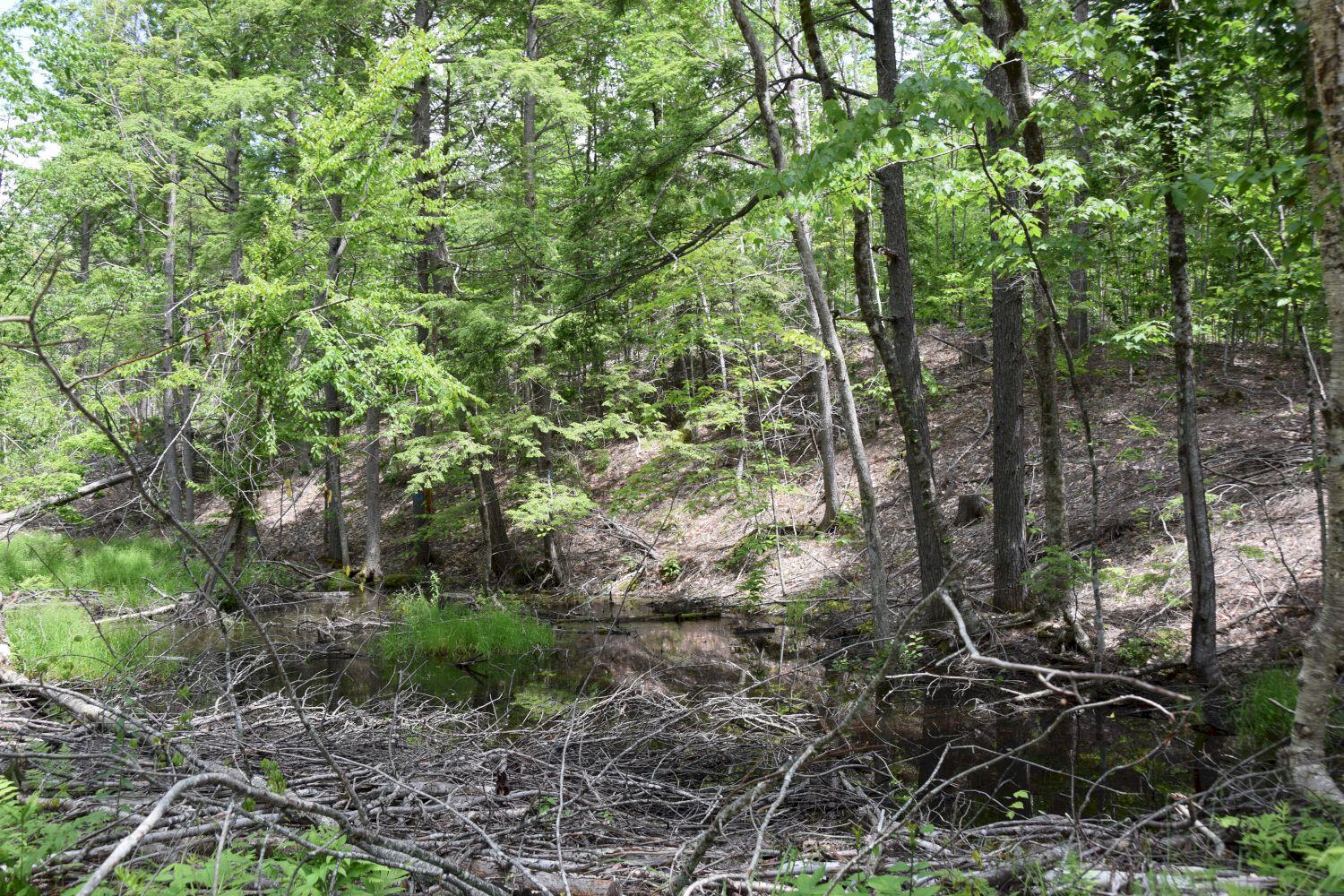 M13-l44 Valley Road Raymond, ME 04071 - Photo 14 of 20 DSC_0004