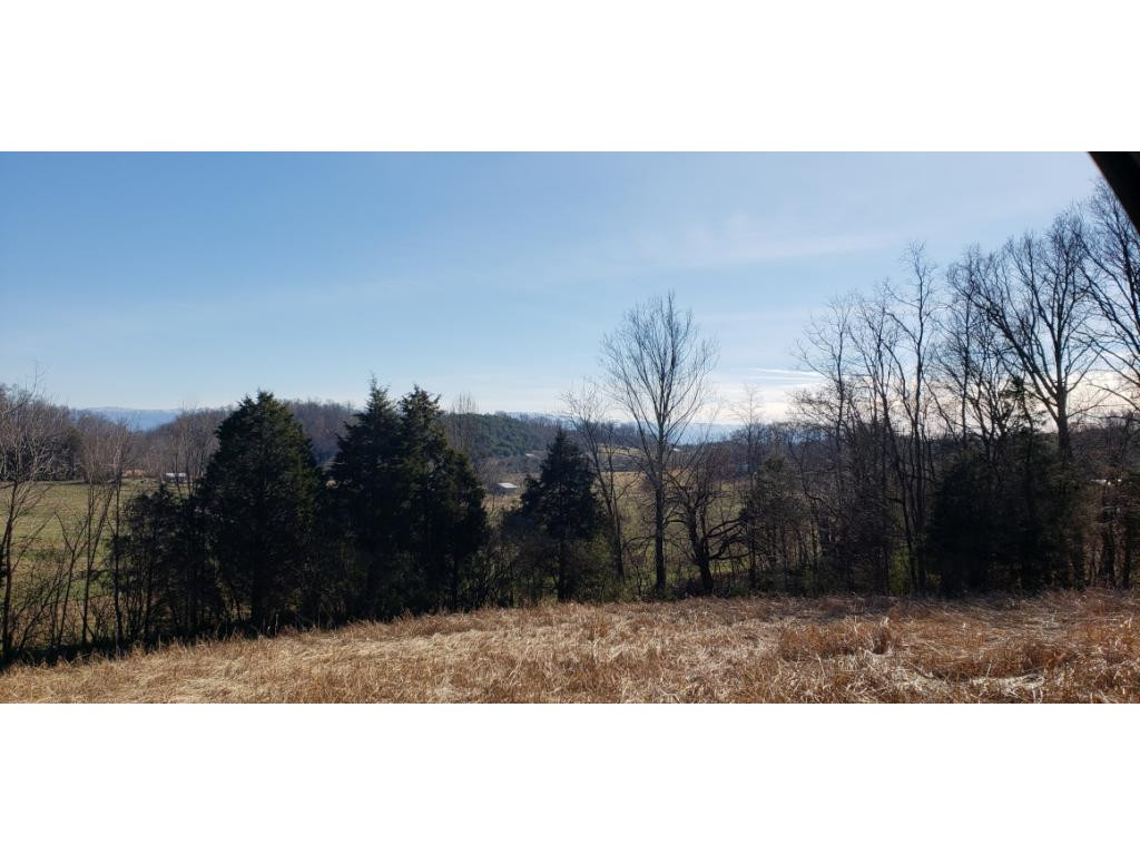 1975 Happy Valley Road, Unit 8 Limestone, TN 37681 - Photo 8 of 9 Photo 8