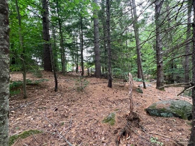 13 Adams Road Alexandria, NH 03222 - Photo 18 of 24