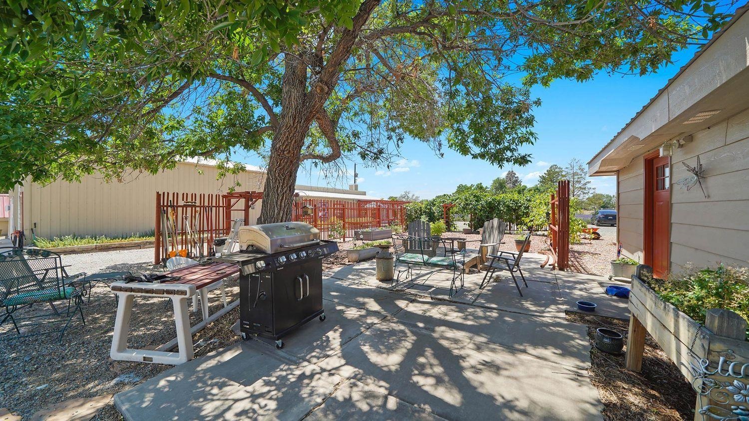 3669 G Road Palisade, CO 81526 - Photo 30 of 40 a view of a patio with table and chairs potted plants and a large tree