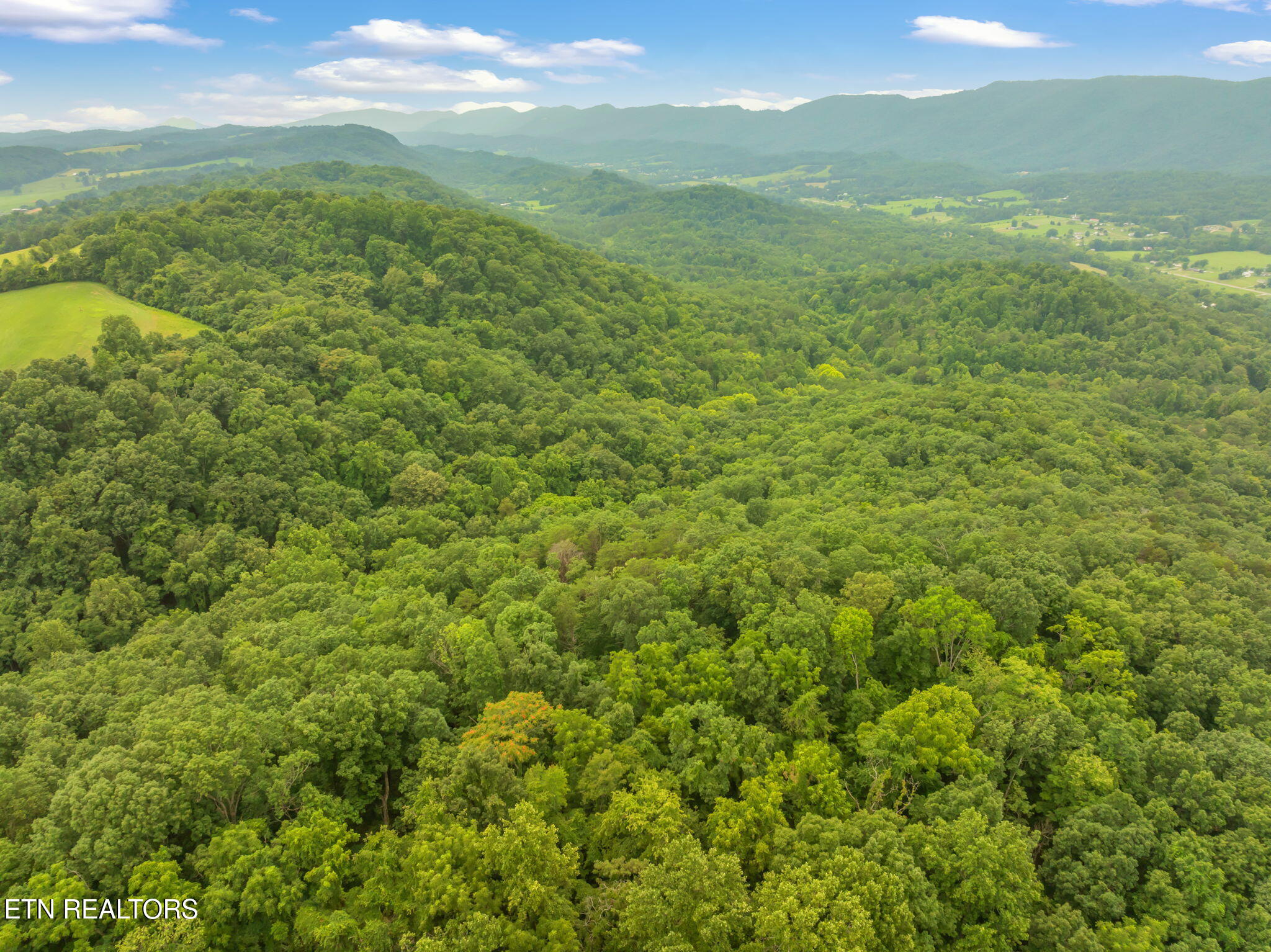 Dunville Gap Road Rutledge, TN 37861 - Photo 20 of 20 24-web-or-mls-Dunville Gap Road-9
