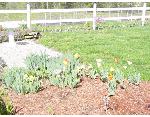120 Freeman Road Charlton, MA 01507 - Photo 7 of 8 a view of a garden with a bench