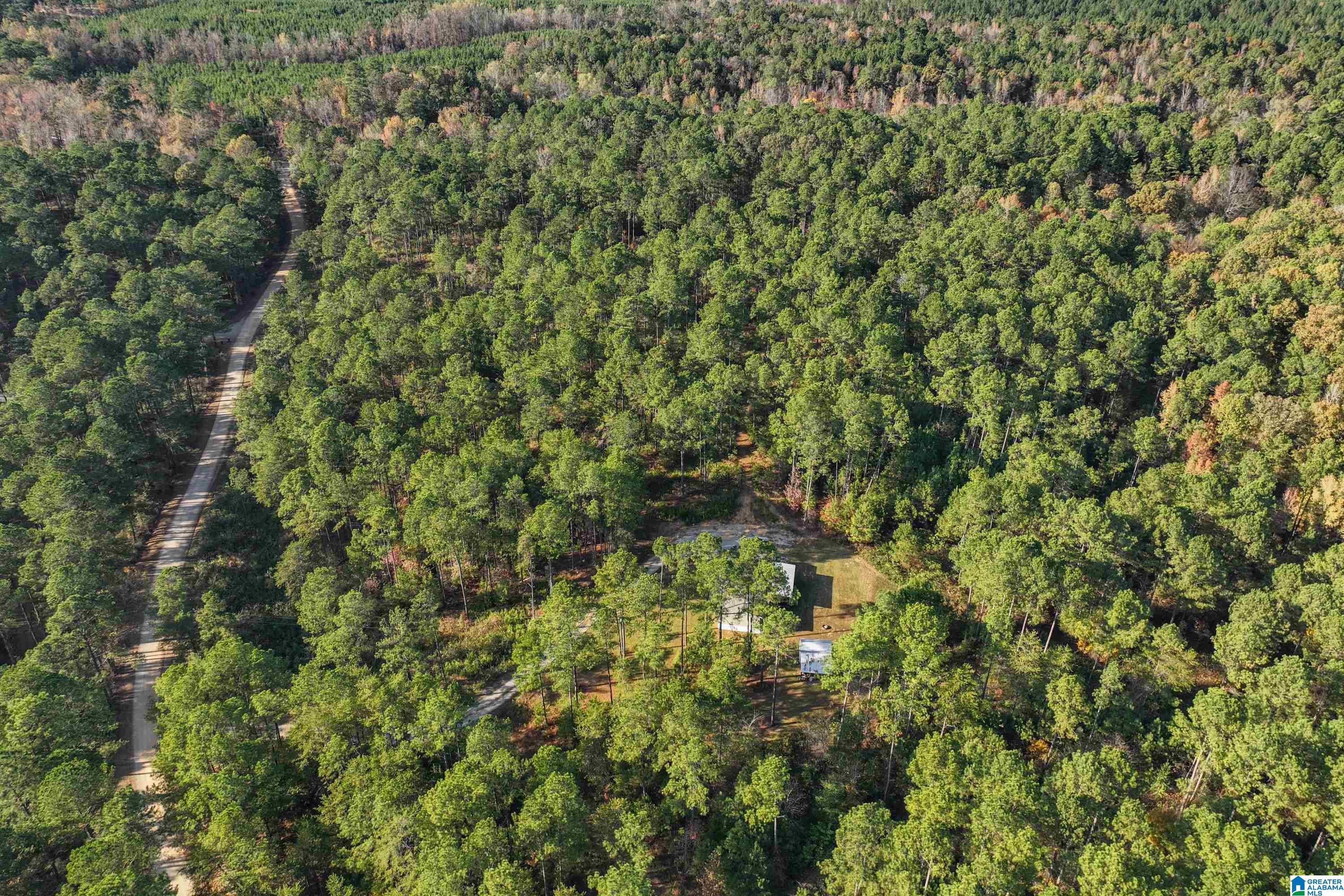203 Gould Road Columbiana, AL 35051 - Photo 45 of 56