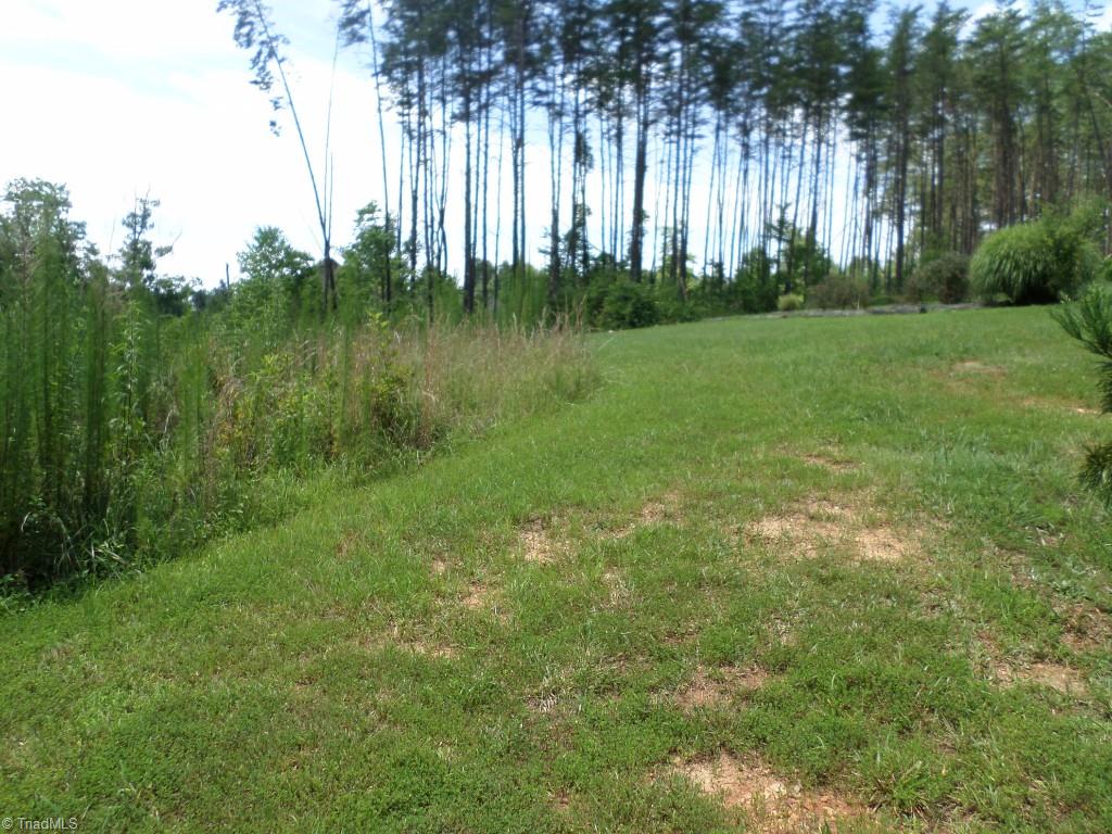 1735 South Friendship Road Germanton, NC 27019 - Photo 24 of 26 Gallery Image 24
