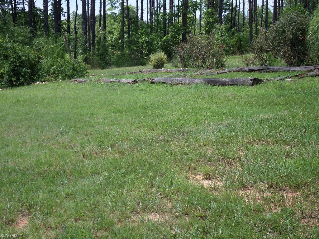 1735 South Friendship Road Germanton, NC 27019 - Photo 25 of 26 Gallery Image 25