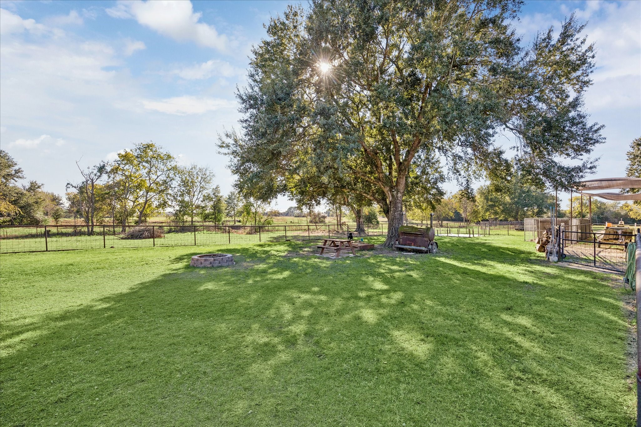 19115 Frey Road Hempstead, TX 77445 - Photo 28 of 35 a green field with lots of trees