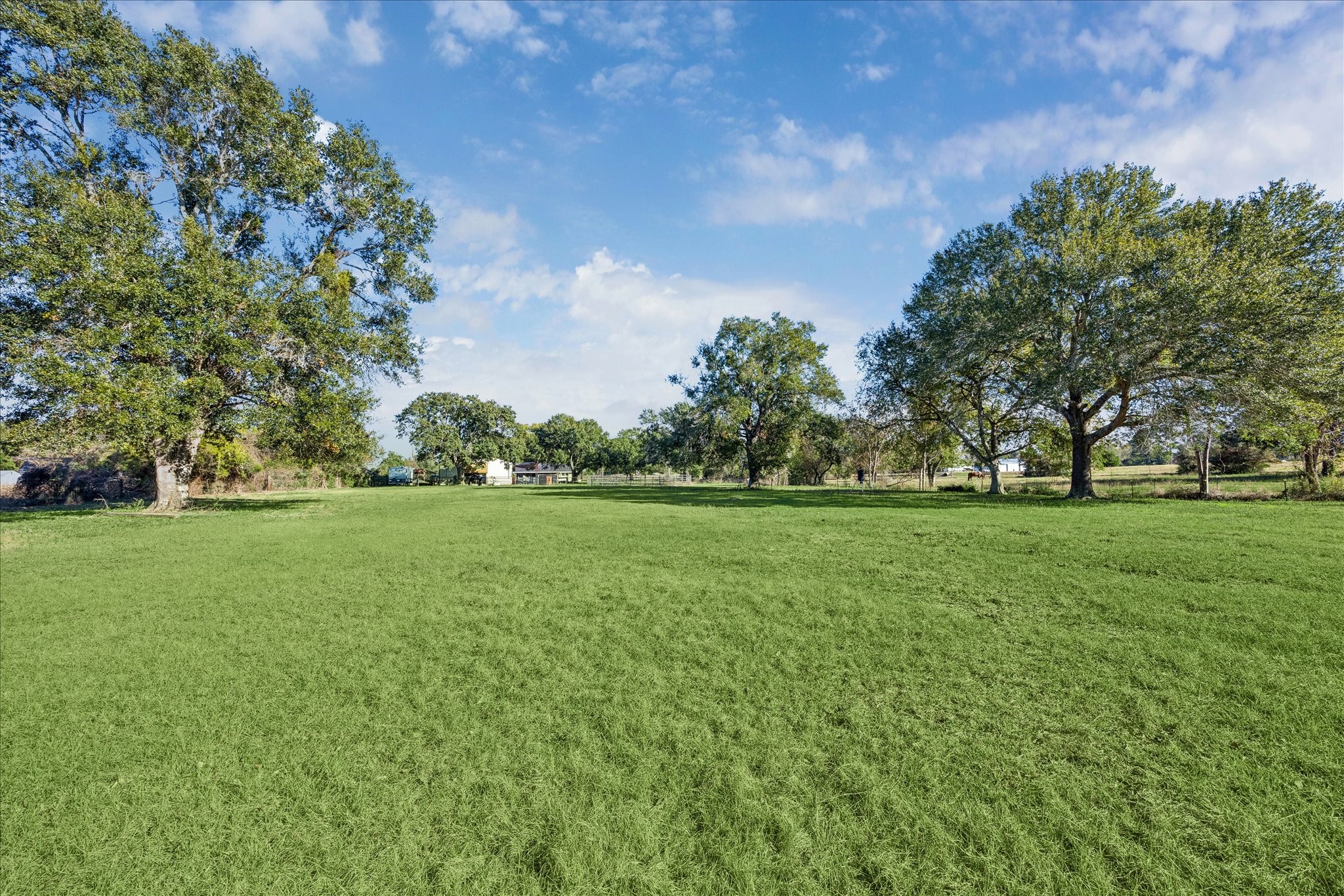 19115 Frey Road Hempstead, TX 77445 - Photo 30 of 35 a view of yard with green space