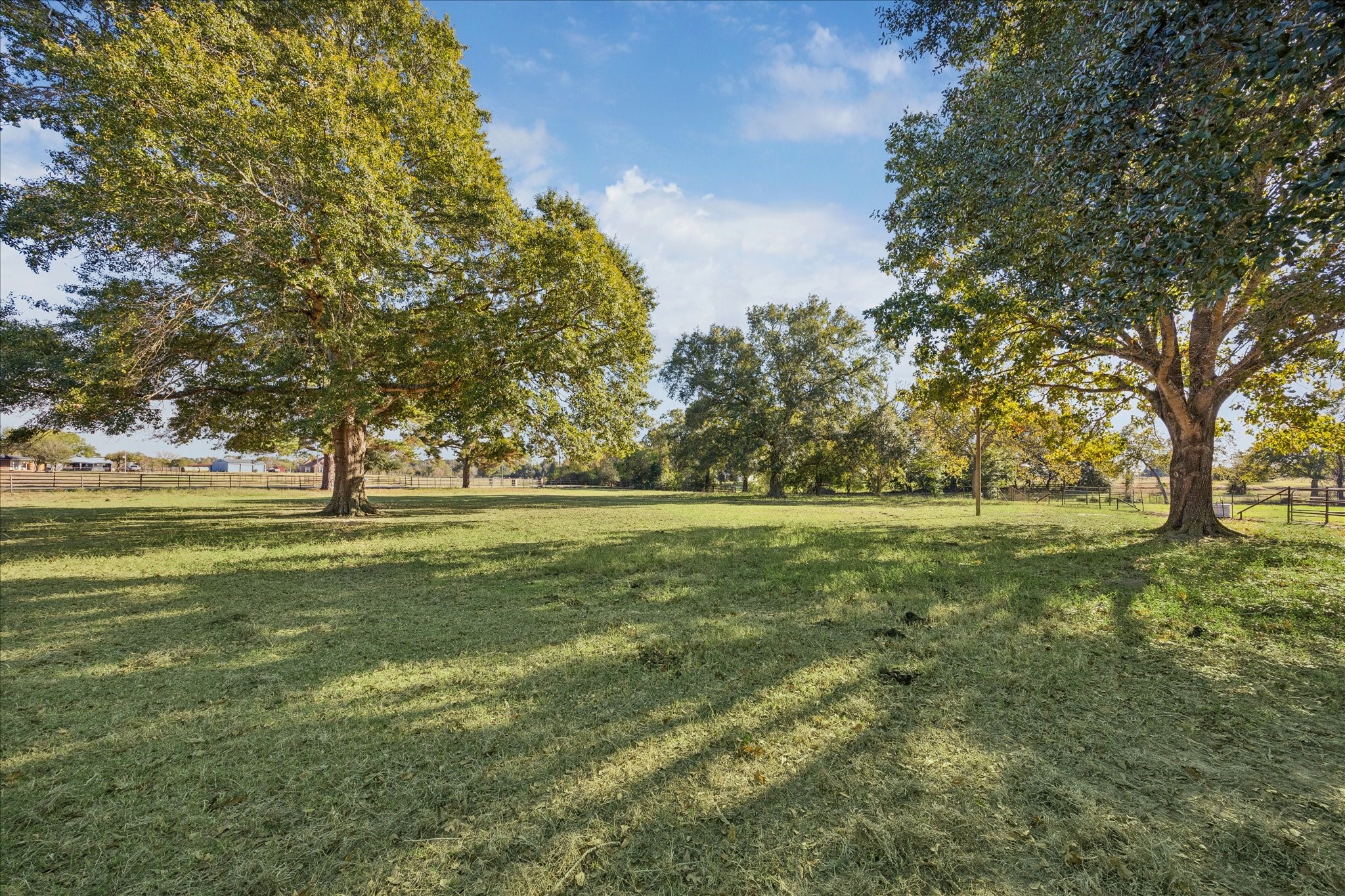 19115 Frey Road Hempstead, TX 77445 - Photo 33 of 35 a view of outdoor space with garden
