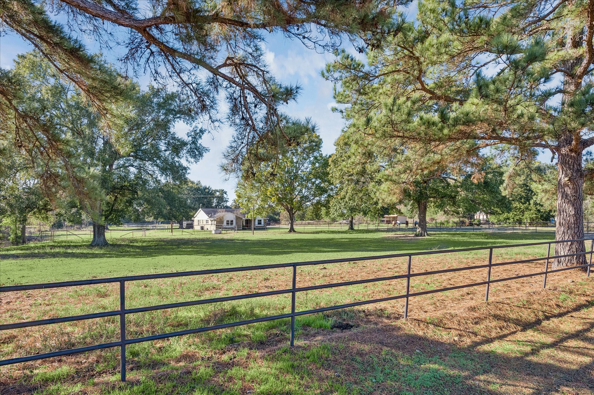 19115 Frey Road Hempstead, TX 77445 - Photo 34 of 35