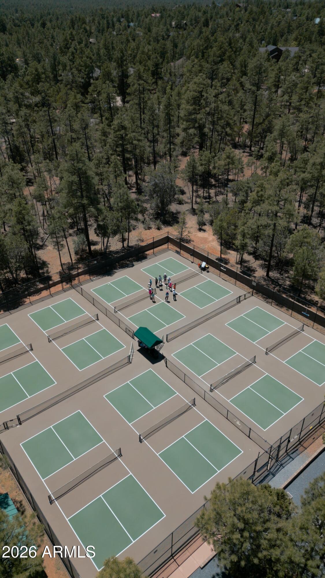 2540 West Pinegrass Road Show Low, AZ 85901 - Photo 8 of 19 PIckelball 5