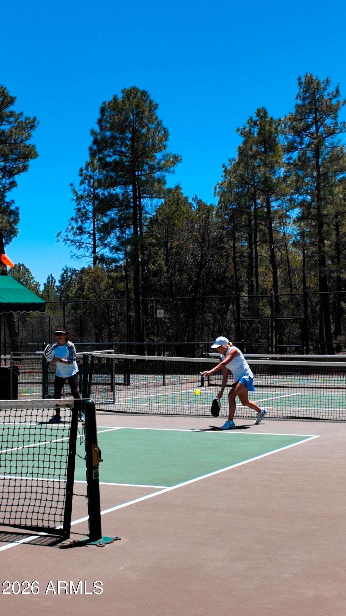2540 West Pinegrass Road Show Low, AZ 85901 - Photo 9 of 19 pickleball 1