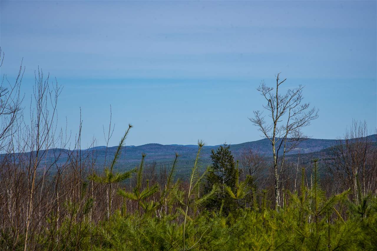 76 Walker Hill Road Ossipee, NH 03864 - Photo 11 of 22