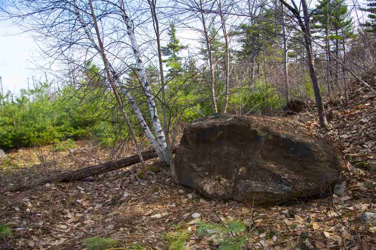 76 Walker Hill Road Ossipee, NH 03864 - Photo 18 of 22