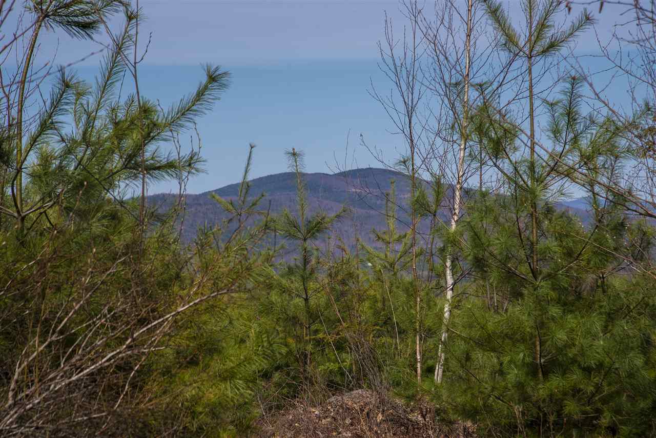 76 Walker Hill Road Ossipee, NH 03864 - Photo 9 of 22