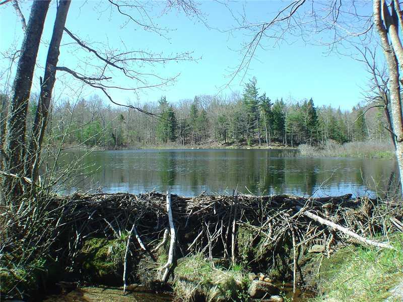 80 Enid Melrose Road Stoneham, ME 04231 - Photo 12 of 31 Other. Beaver Pond is entirely on...