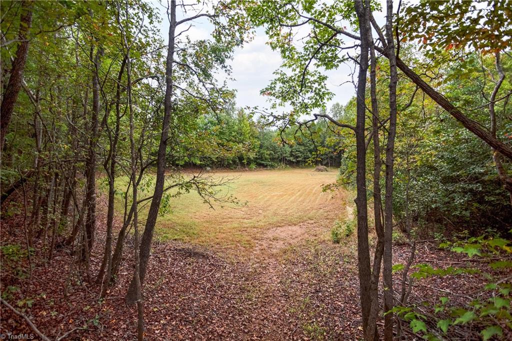 448 Brintle Road Reidsville, NC 27320 - Photo 19 of 42 Gallery Image 19