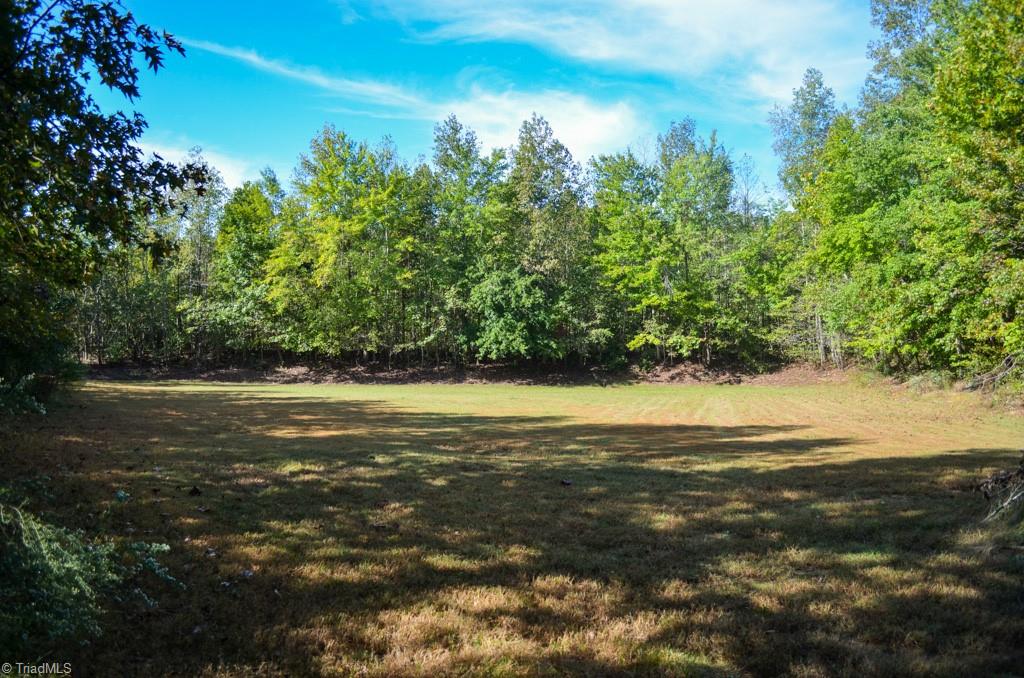 448 Brintle Road Reidsville, NC 27320 - Photo 20 of 42 Gallery Image 20